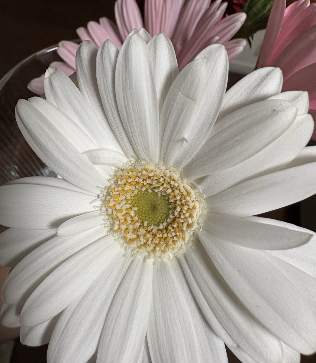 nana (@nana202173) / Posts / X