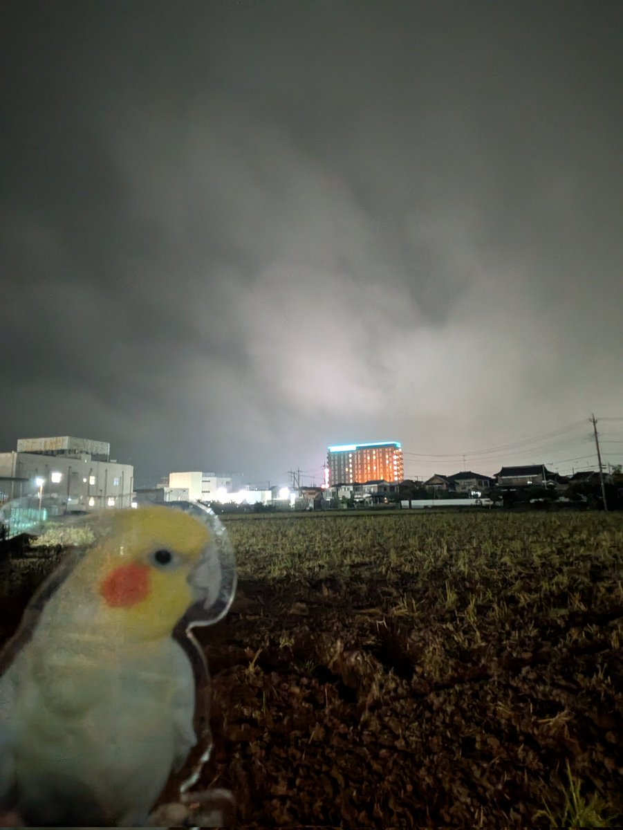 みつばちハーモニー 清夏の薫り ギフトボックス入り みつばちのーと