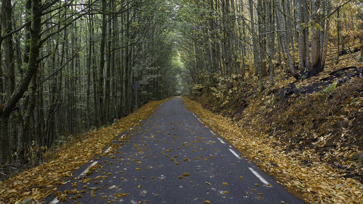 Respirando otoño. Hervás (Cáceres)
<a href="/HimarGonzalez/">Himar González</a>
<a href="/Tiempo_Mercedes/">Mercedes Martín</a>