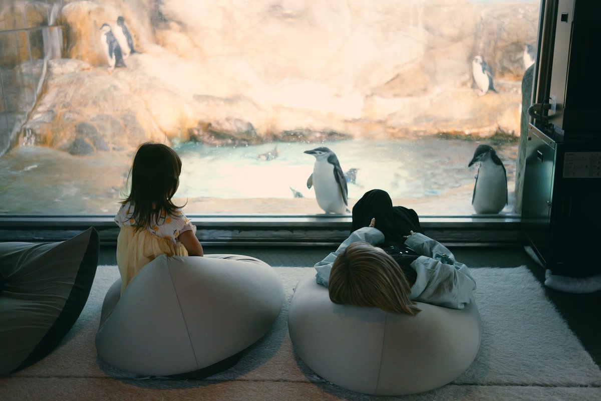 タケノコパパ on X