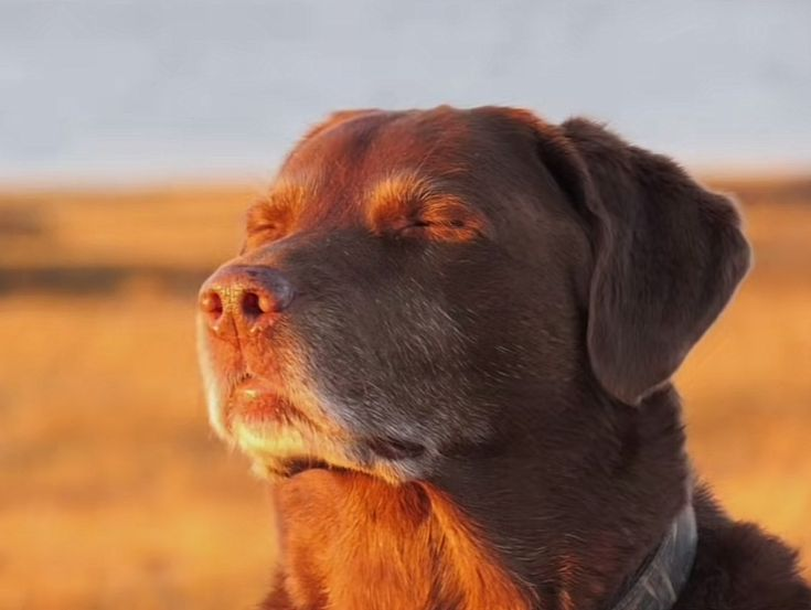codeixx's tweet image. Me in heaven, watching my friends fight over a piece of chicken at my funeral