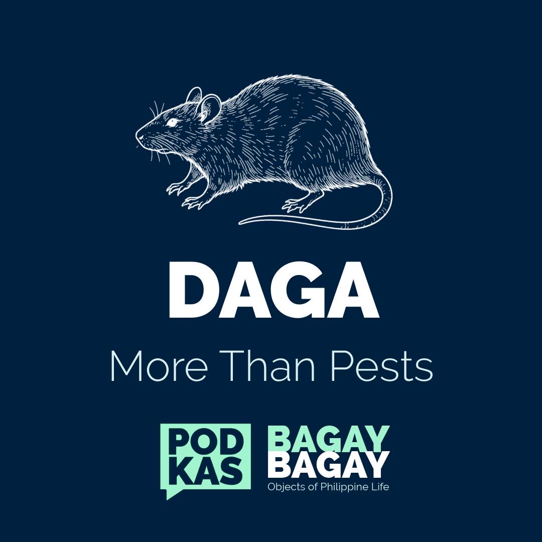 More than just a pest, the rat is an unacknowledged actor in Philippine history, its story intertwined with our own from prehistoric times to the modern day. This new ep. uncovers this hidden narrative. Listen now: open.spotify.com/episode/1SgvMq…