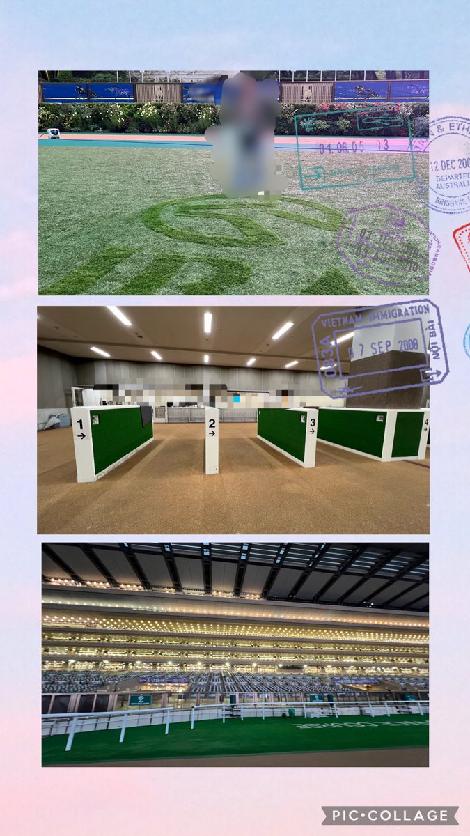 ぽにょ (@ponyo0301) / Posts / X