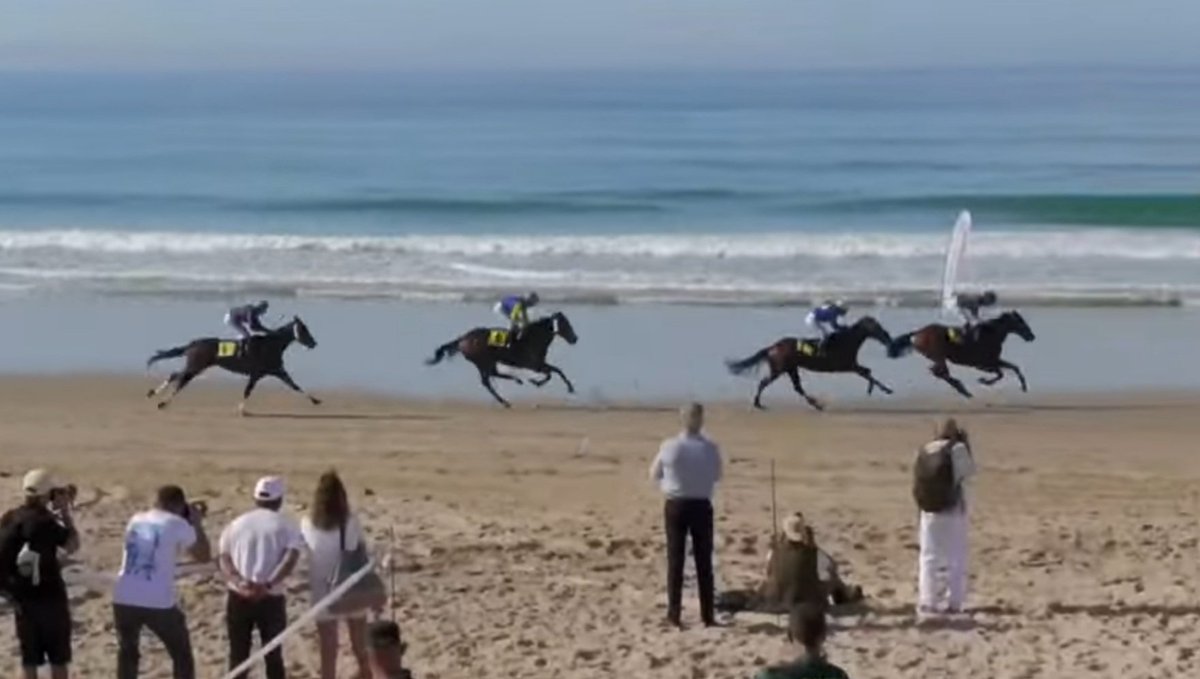 Zahara - sáb. 25oct - Carrera 2 

Orden llegada: 
1º- 1 (Mauro - R.Sousa - O. Anaya - Mallow Gran Canaria) 
2º- 2 (Disillusion - D.Sikorova - C. Buesa - Marisol) 
3º- 4 (Madame Caracol - R.N.Valle - A. Soto - Yeg. Urdiñ-Oriya) 

Retirados: Ninguno