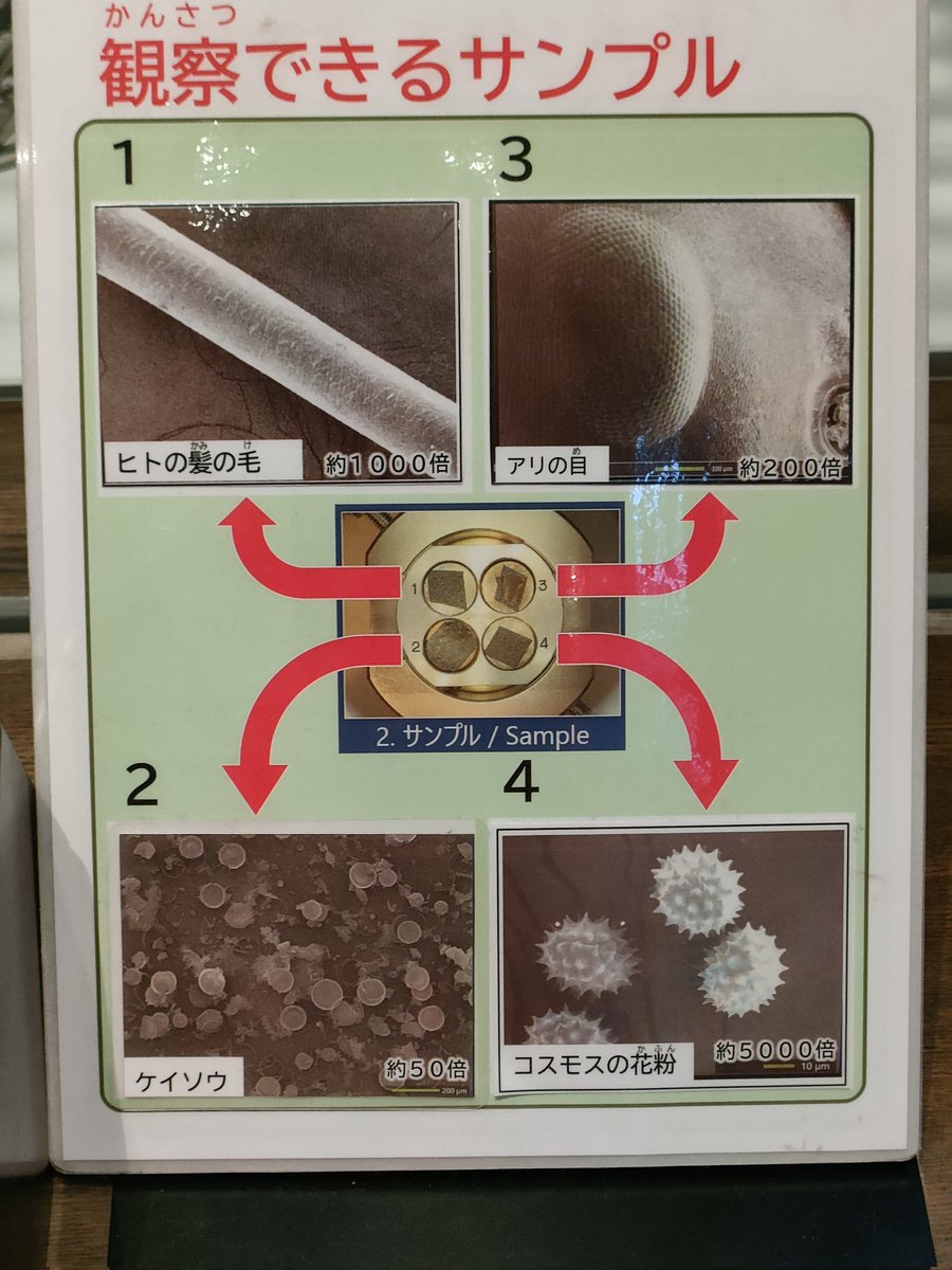 SYAURUI (@syaurui) / Posts / X