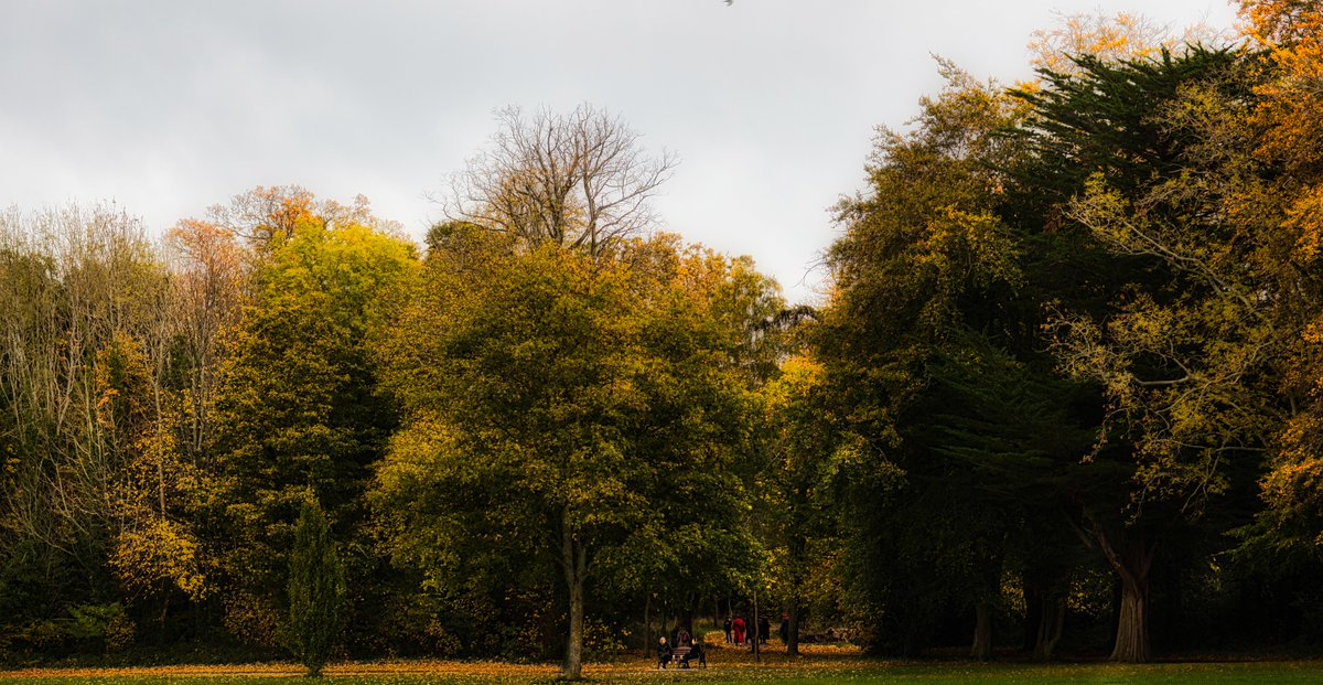 That autumnal colour is just...