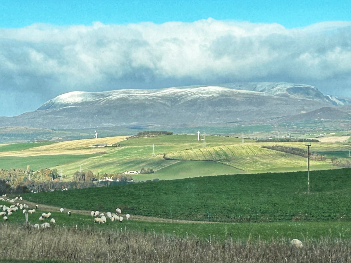 Julia Stanley tweet media