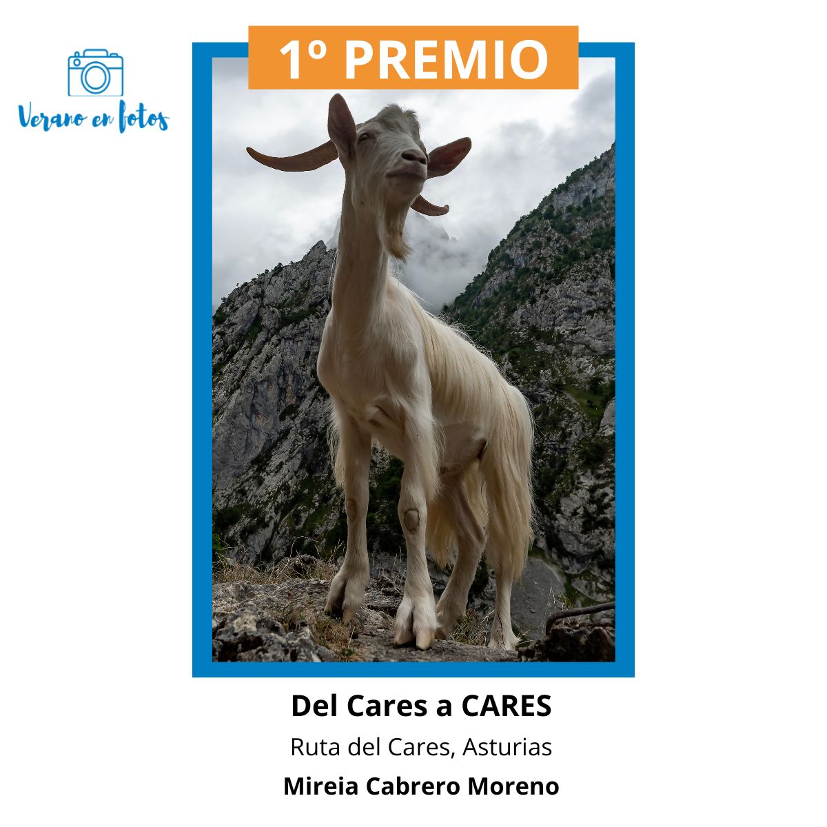 Grup CARES tweet media