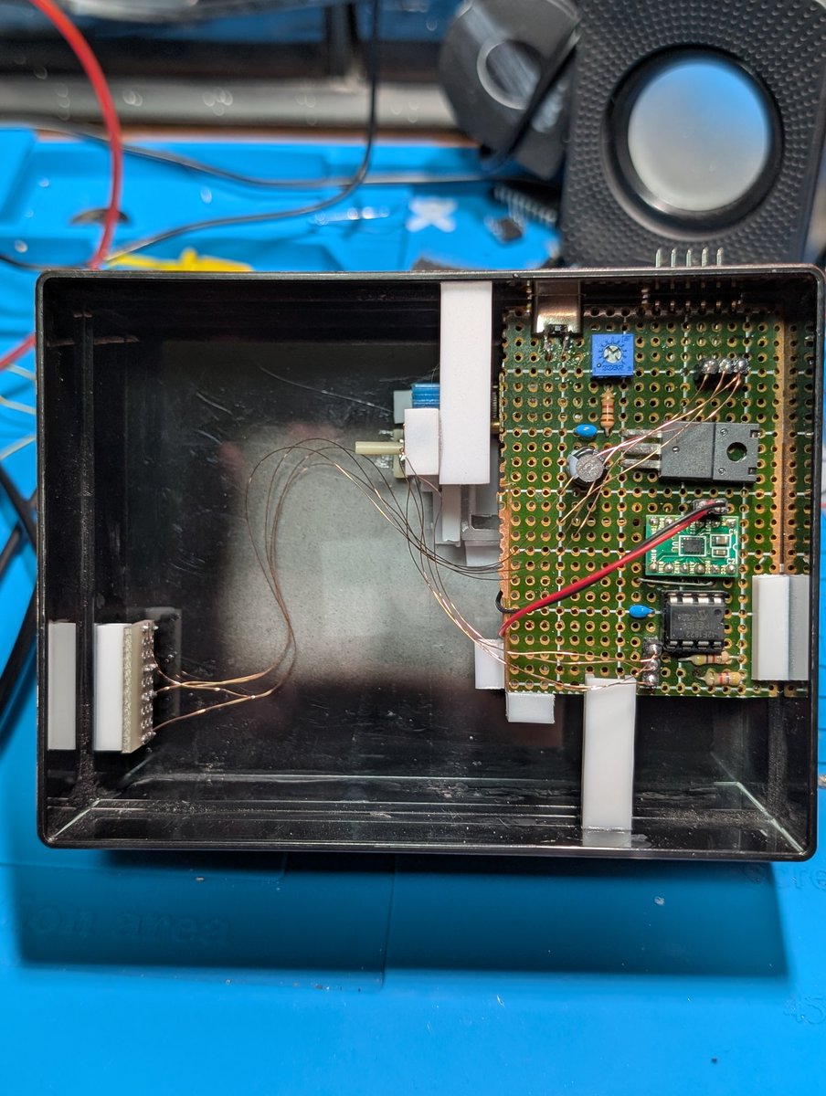 モアモア♥️モネモネ♥️ AZONE INTERNATIONAL::えっくす☆きゅーと