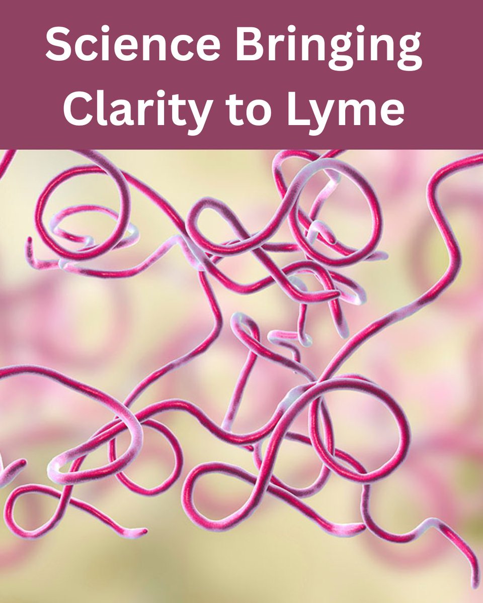 Tick Boot Camp tweet media