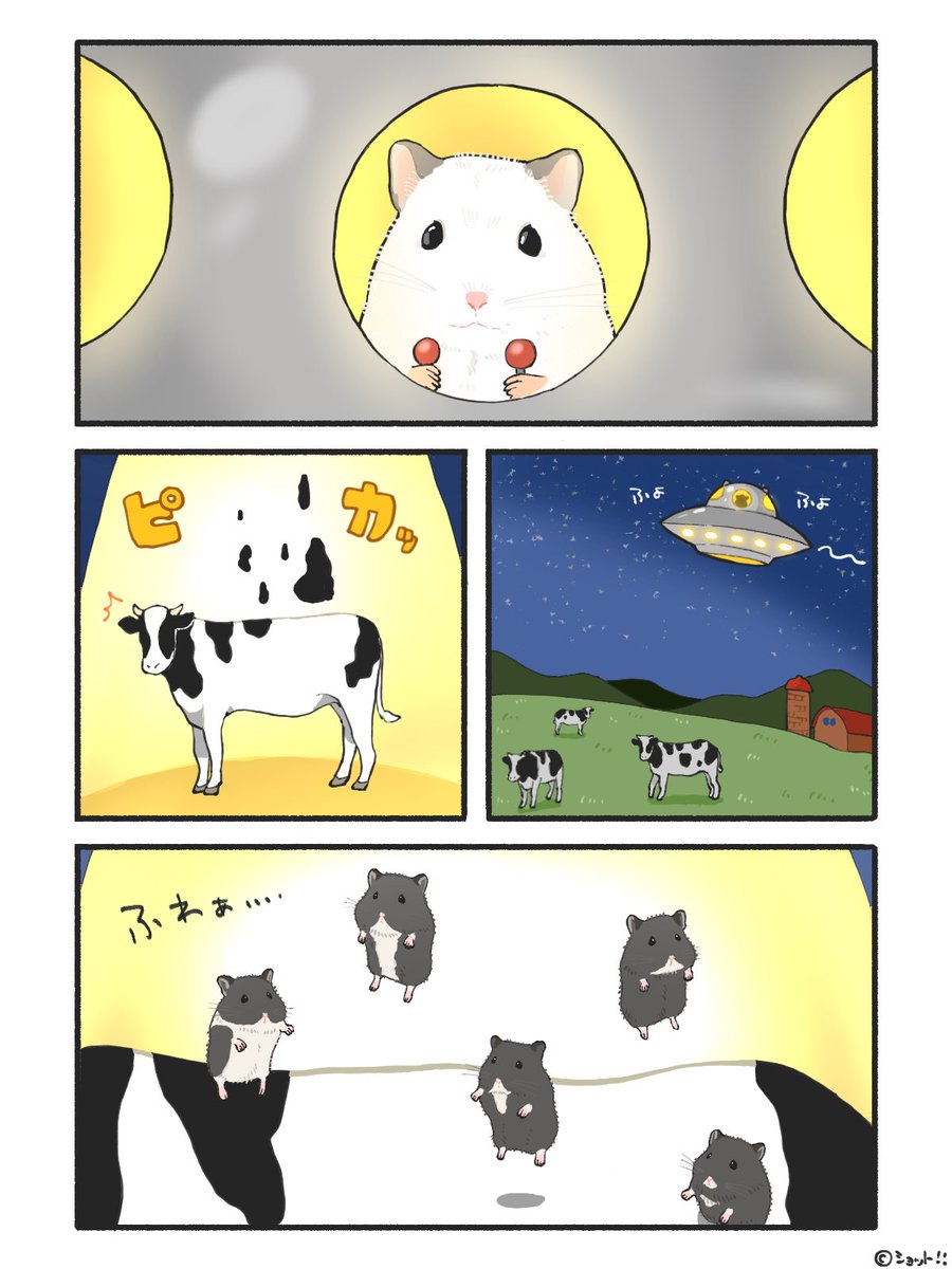 こっぺぱんページ こっぺぱん (@kimi_omanjyu) / Posts / X