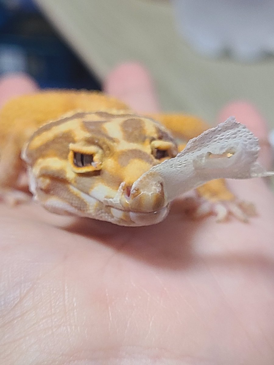 今日のぴえん🥹笑