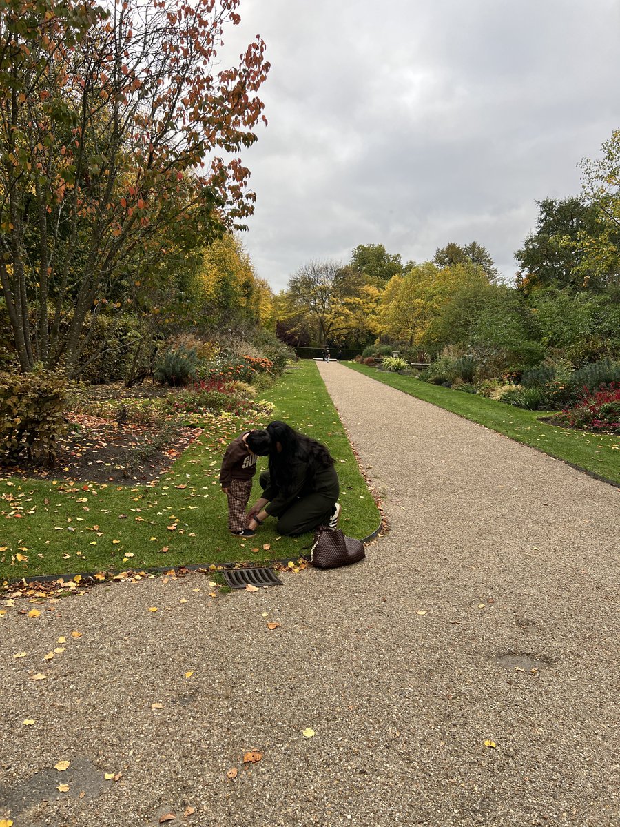 AdeelaCSV's tweet image. Autumn 2025