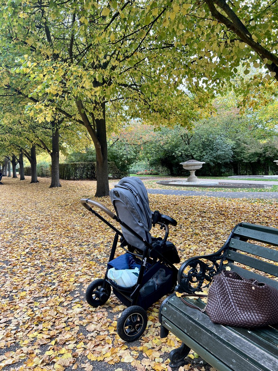 AdeelaCSV's tweet image. Autumn 2025