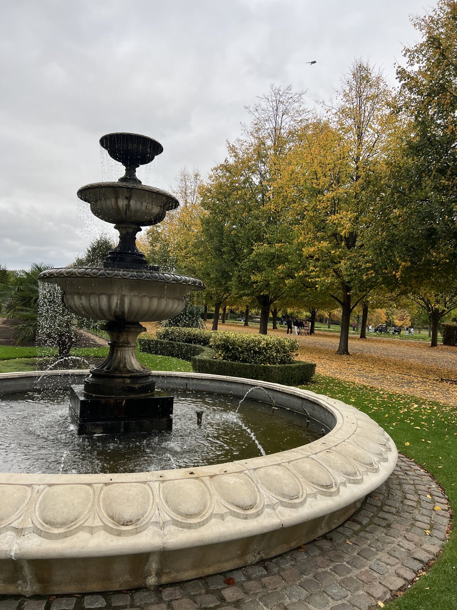 AdeelaCSV's tweet image. Autumn 2025