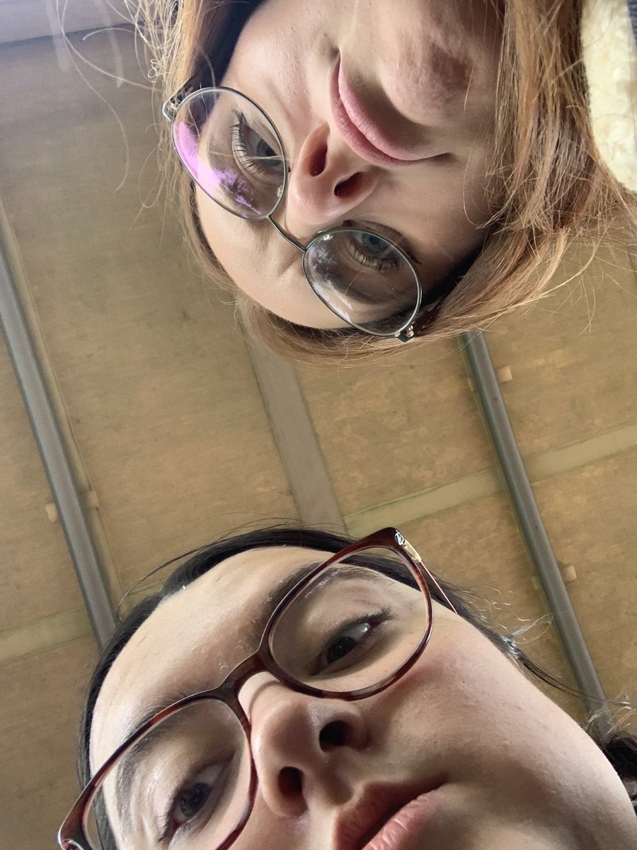 izzyfossil ⭐️ tweet media