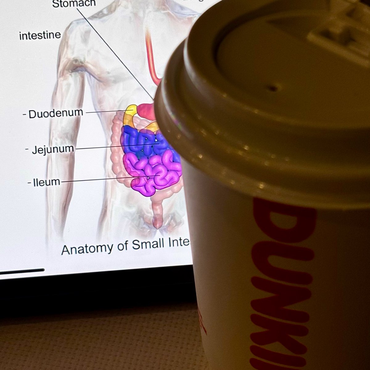 شغف آخر مد و اصعب واحد فيهم 📉📉📉