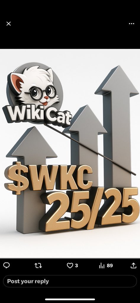 WikiCat 밈 이미지 1