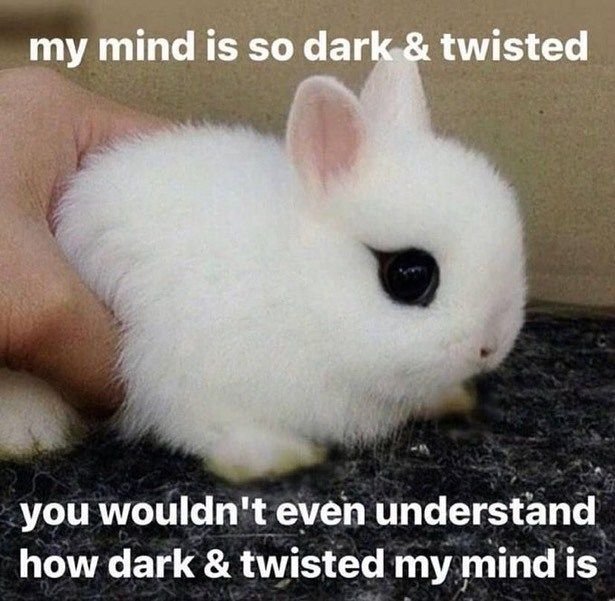 couldbeskiddles's tweet image. happy birthday minho!!