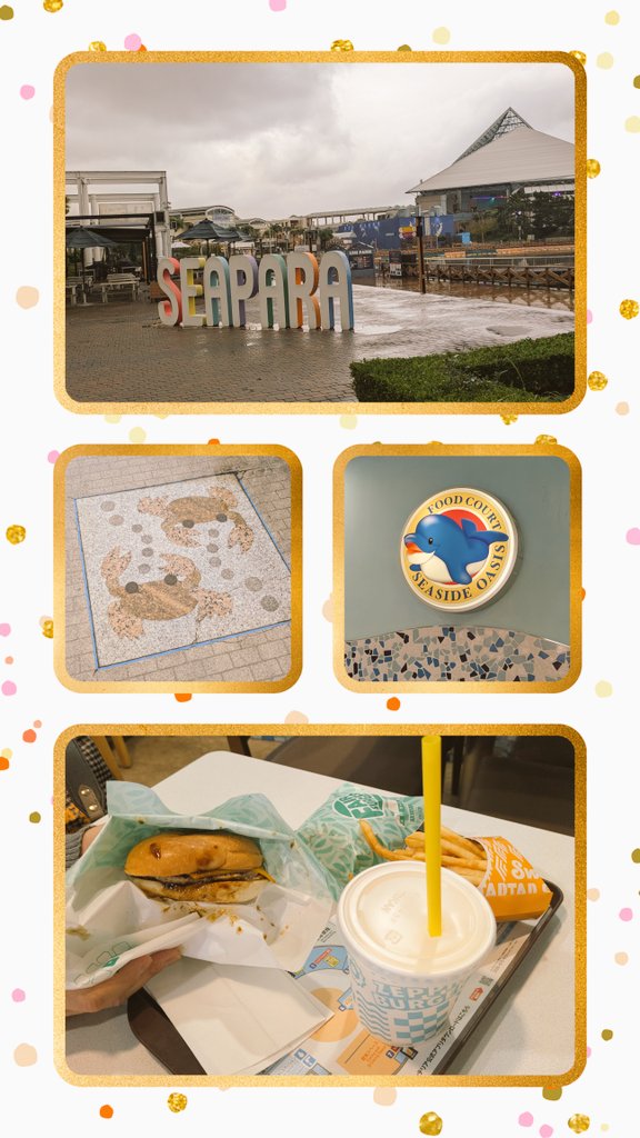 柴犬🐾まめちゃん❤️ on X