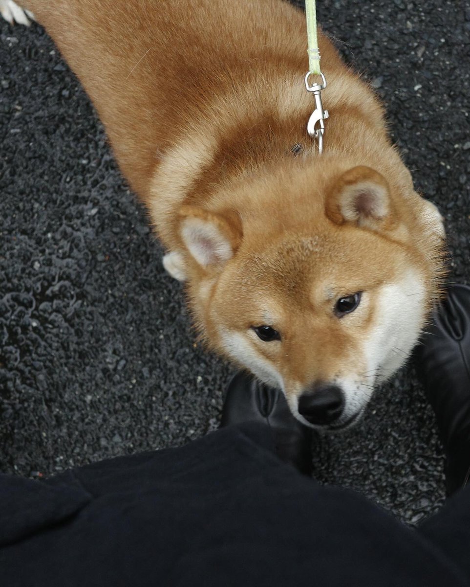 ZuiZuizz (@regankipling3) on Twitter photo 