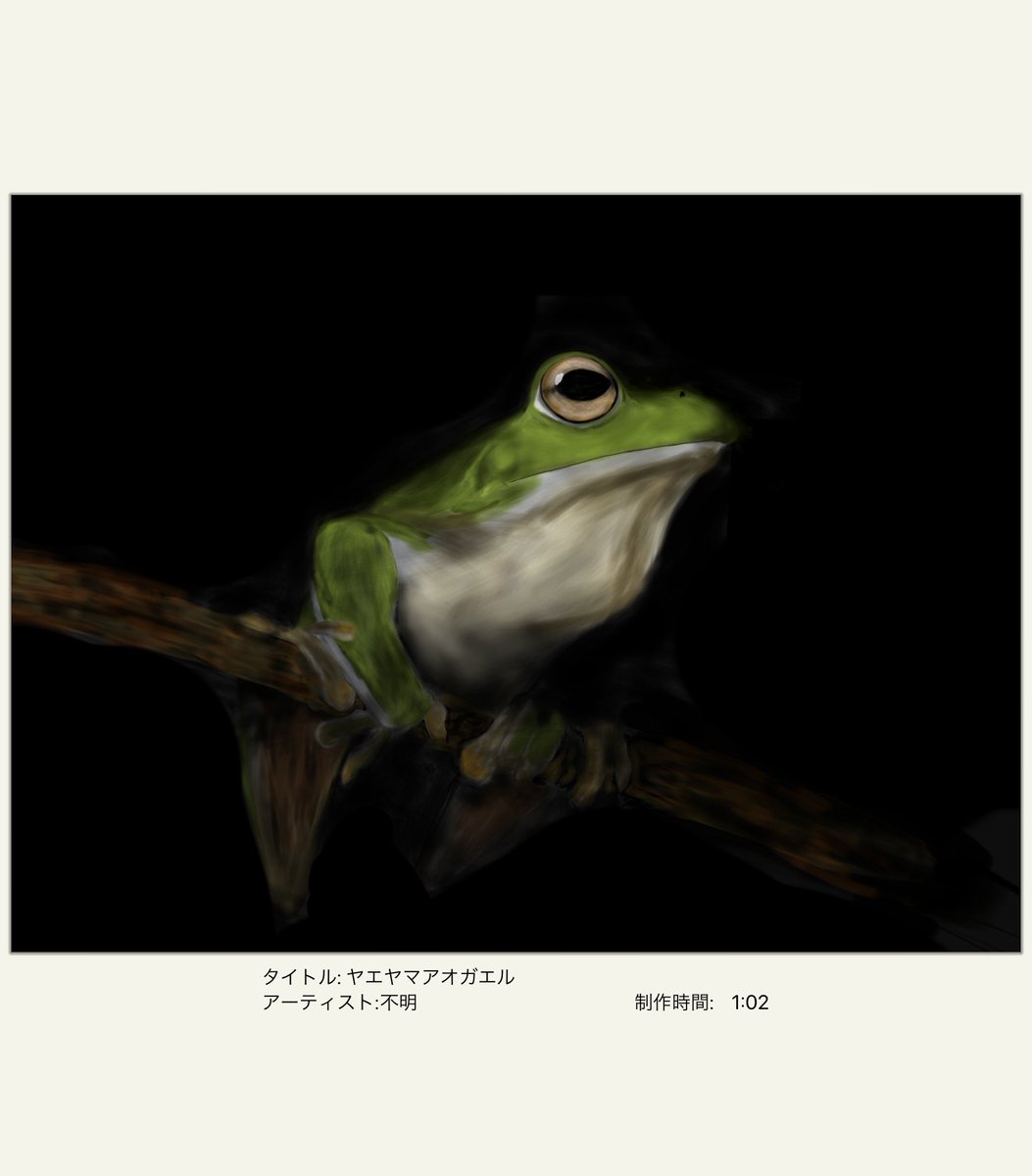 ヤエヤマアオガエル早描き
1時間超えちゃったけど，私の中では早描きです許して