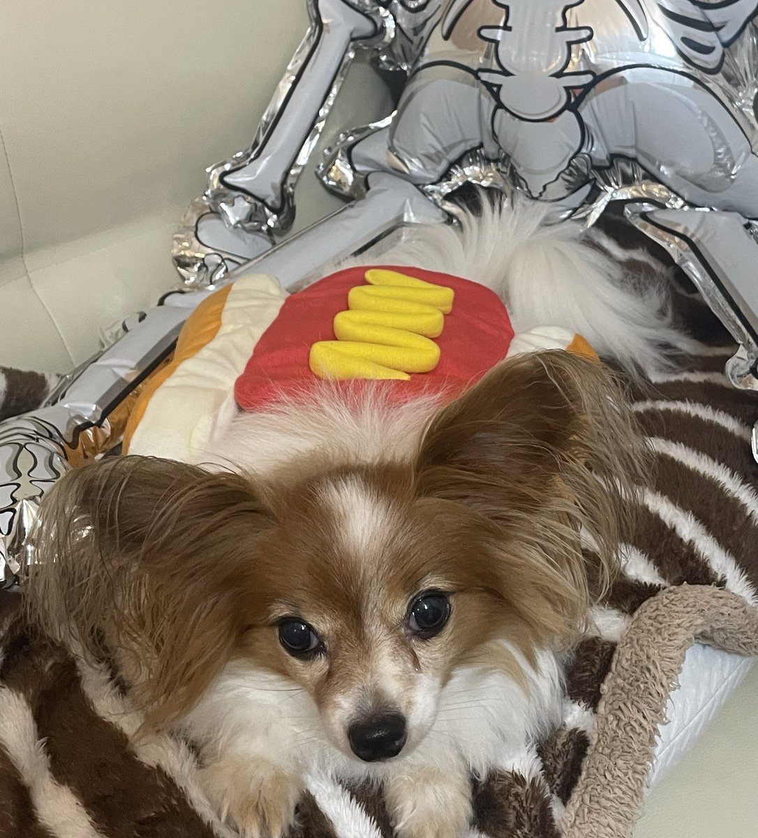 ハッピーハロウィン🎃