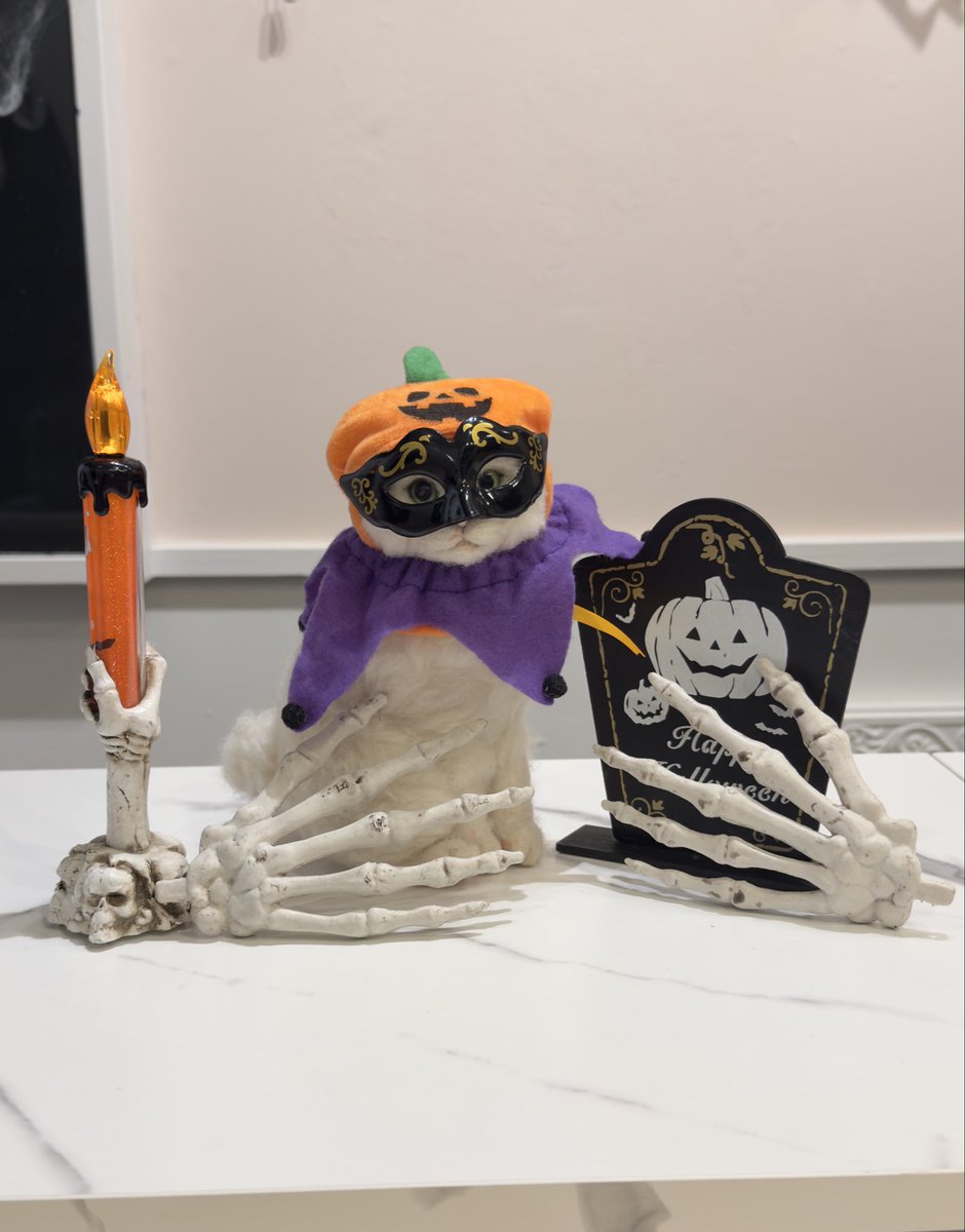 まりっぺ@にゃんず (@zuttomari) / Posts / X