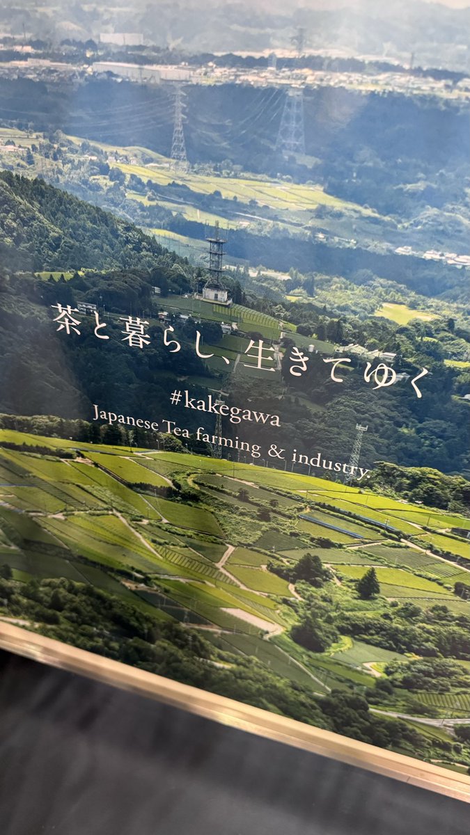 trois 花の会11月16日@静岡 (@trois_archive_) / Posts / X