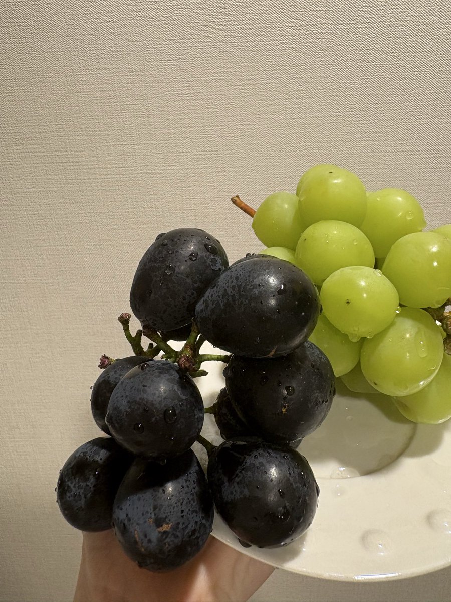 しおちゃん キープ NINJA【9,5°】Speeder378EVOLUTION【SR】 1995 Kawasaki ZX7