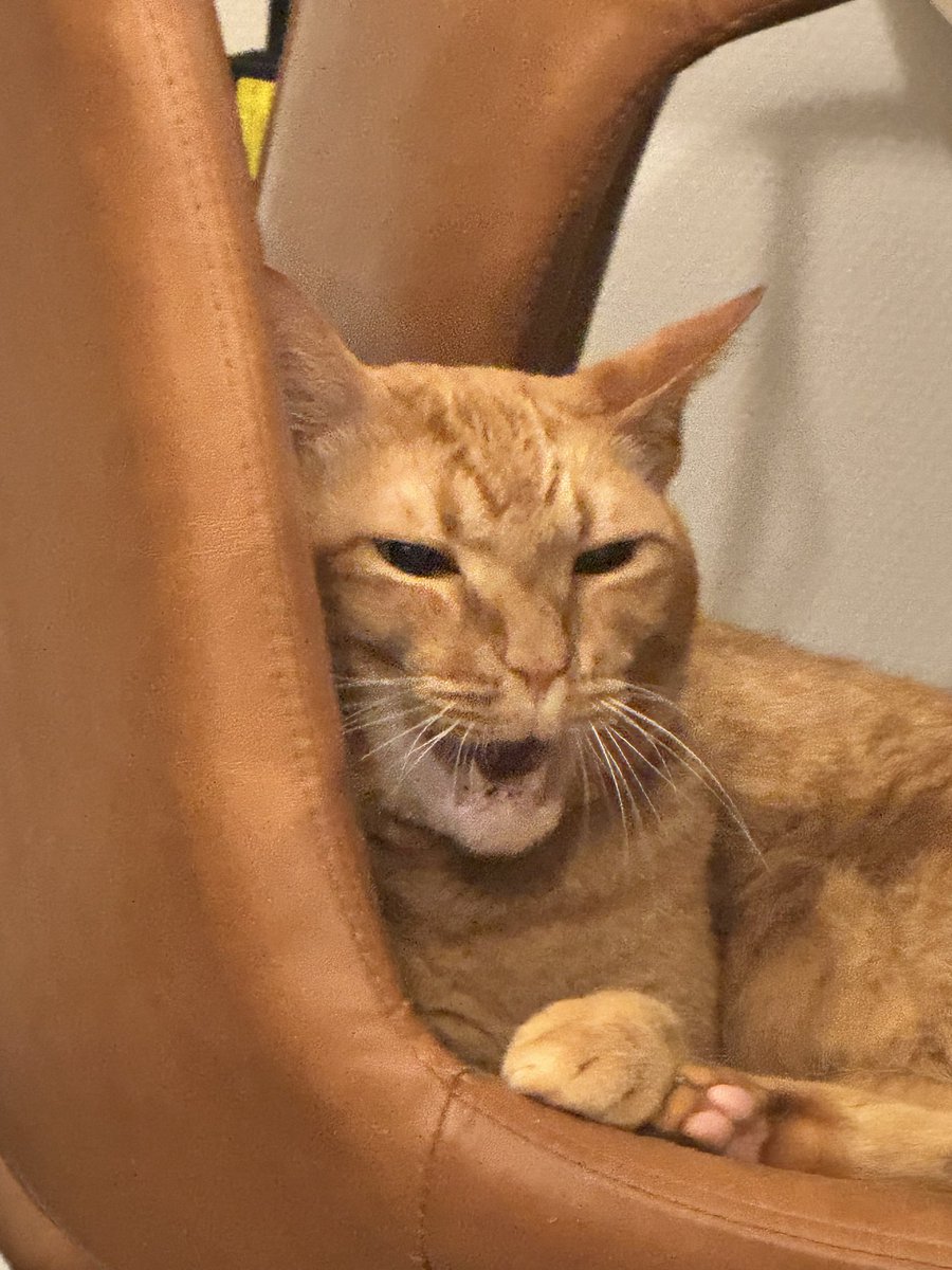 ひろきちさん@Jump off (@hirokichi5656) / Posts / X