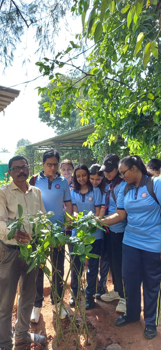 PMShriDMS64BBSR's tweet photo. NSS Volunteers visited State Capital Nursery, Unit-II, Bhubaneswar on 25.10.2025, where they learned about diverse plant species, interacted with experts, and gained insights on environmental sustainability.
#NCERT #RIEBHUBANESWAR #CIETNCERT #NSSINDIA #GreenIndia #PMShriDMSBBSR https://t.co/nDjdiWRsoy
