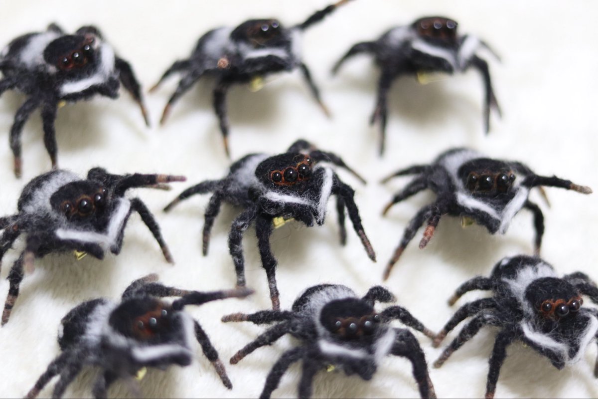 #秋を彩るSNS作品展示祭
羊毛フェルトで作りました。
ハエトリグモです🕷️