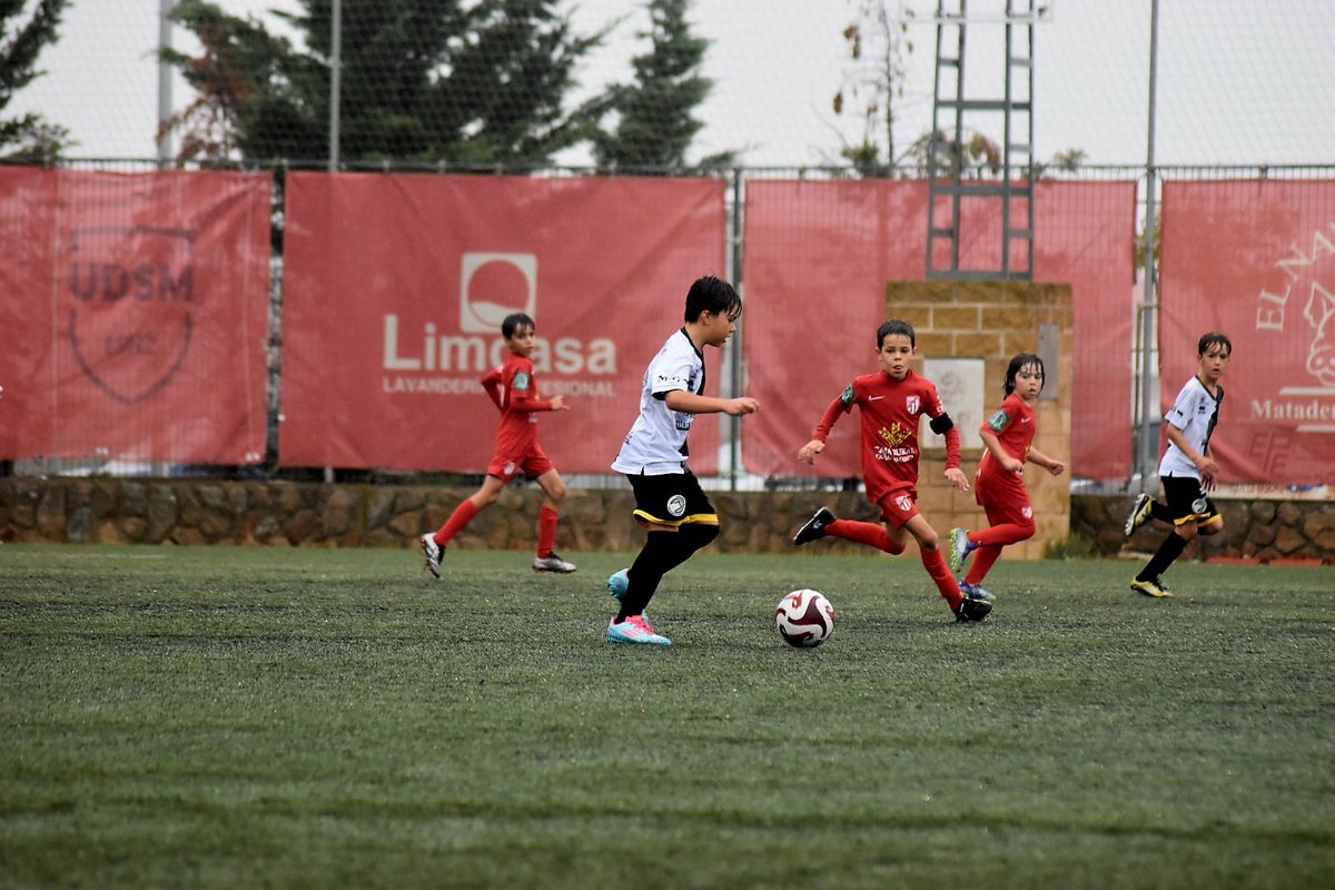 USCFbase's tweet photo. 📎 𝗥𝗘𝗦𝗨𝗟𝗧𝗔𝗗𝗢|

🟰 Gran partido del Benjamín B, que empató ante el Santa Marta en un encuentro muy bonito y disputado por ambos equipos. ¡Buen trabajo, chicos!

@UDSantaMarta B 2️⃣
🆚
@UnionistasCF Benjamín B 2️⃣ (Gonzalo Bernal, Alonso Rodríguez)

#ConstruyendoUSCF 🏗️ https://t.co/E21Oqb4JcQ