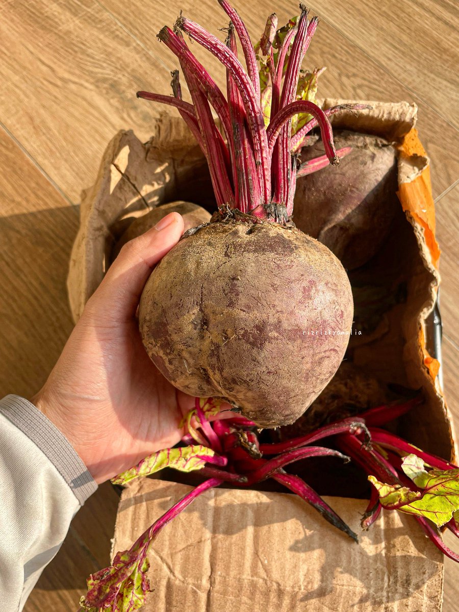 Rekomendasi jajanan orang dewasa yang bisa banget di-check out pas lagi payday gini ✨
Beneran berasa banget dewasanya karena jajanan ini jadi makin dicintai, dan jadi pilihan buat dibeli 😂