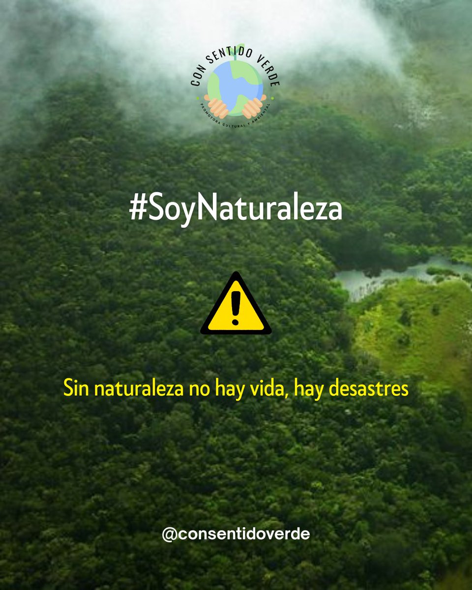 ConSentidoVerde's tweet image. #SoyNaturaleza
1️⃣ Ayudar a damnificadxs 🌧️
2️⃣ Sanear 🌳🌳🌳 #CDMX
3️⃣ Proteger 100 cenotes💦
🙌🏻 @gemhsm @SelvameMX @HuertoRomaVerde @pactroll @pierobio  @gchristy65, Roberto Rojo, Pepe Tiburón, Lucía Hoyo, Michel Duhart 🙌🏻
👀❤️💬🚀:
viveconsentidoverde.com/2025/10/24/soy…
#viveconsentidoverde