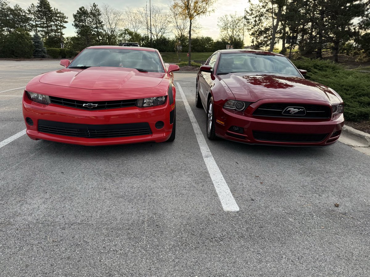 Gonzo Detailing tweet media