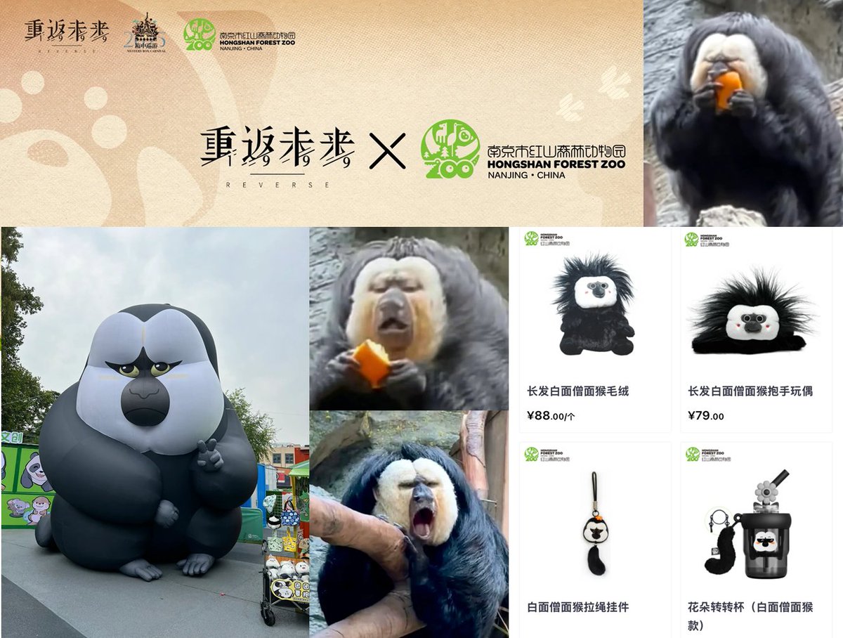 専用2/1 UKOrg アニマルズ 2nd+3rd Mono Some info about the CN Re199 Collab: HONGSHAN FOREST ZOO 🧐The
