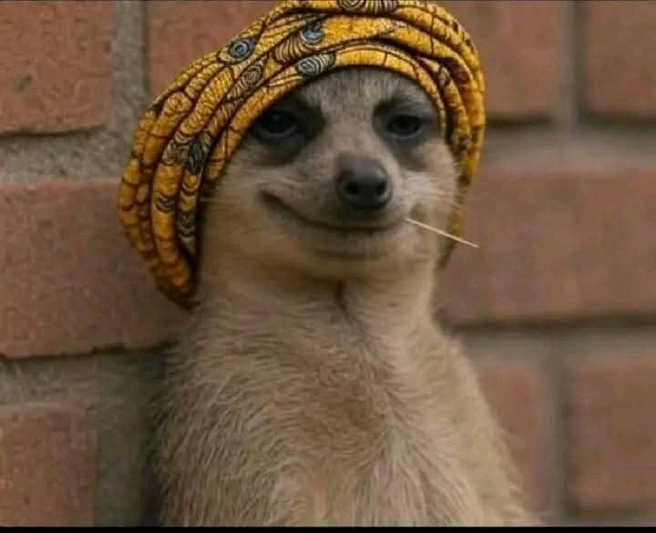 My delusional mind believes Meghan's announcement on October 28th is that her products are getting shipped worldwide.
#Delulu