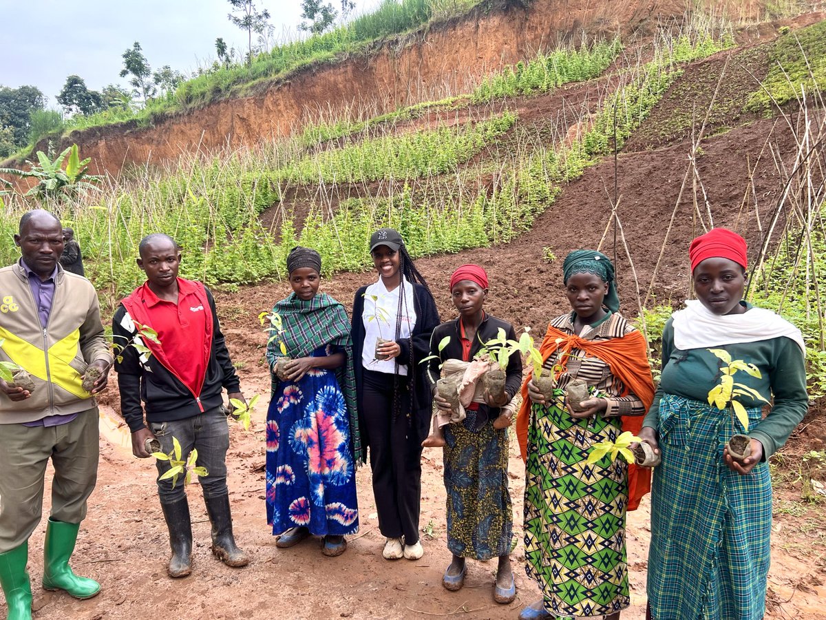 primebc1's tweet photo. During Umuganda in Rubavu, we are officially launching the 2025 tree planting season under Nurturing Indigenous Trees and Young Minds in Rubavu and Rutsiro, with a target of 140,000 trees to restore degraded landscapes and promote indigenous species. The Director of the Agriculture and Natural Resources Unit for Rubavu District emphasized the importance of active participation from everyone while the Executive Director of PBC reminded us that planting is good, but growing them is the real goal.