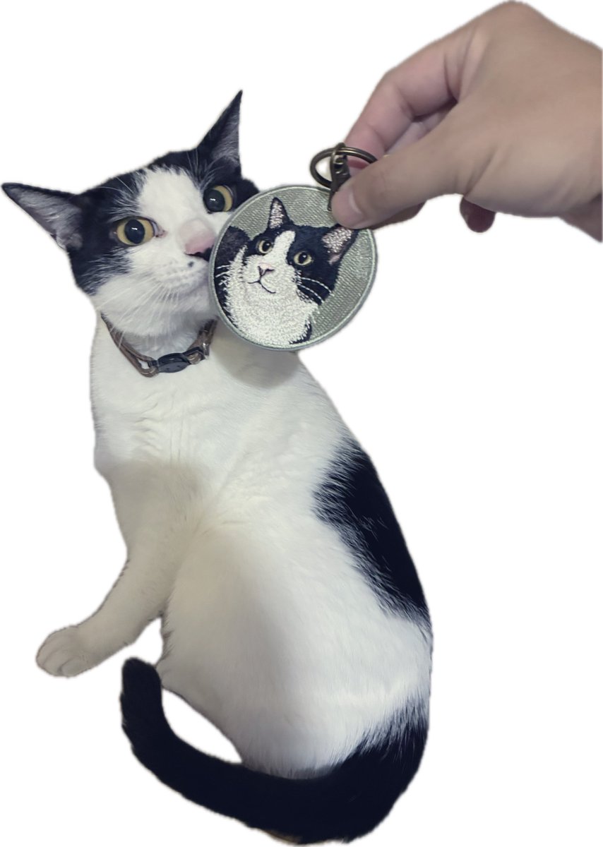 tetuya_haze's tweet image. ハチワレのキーホルダー残り一個で
慌てて買ってしまった
似てる気がする
可愛いです🥷