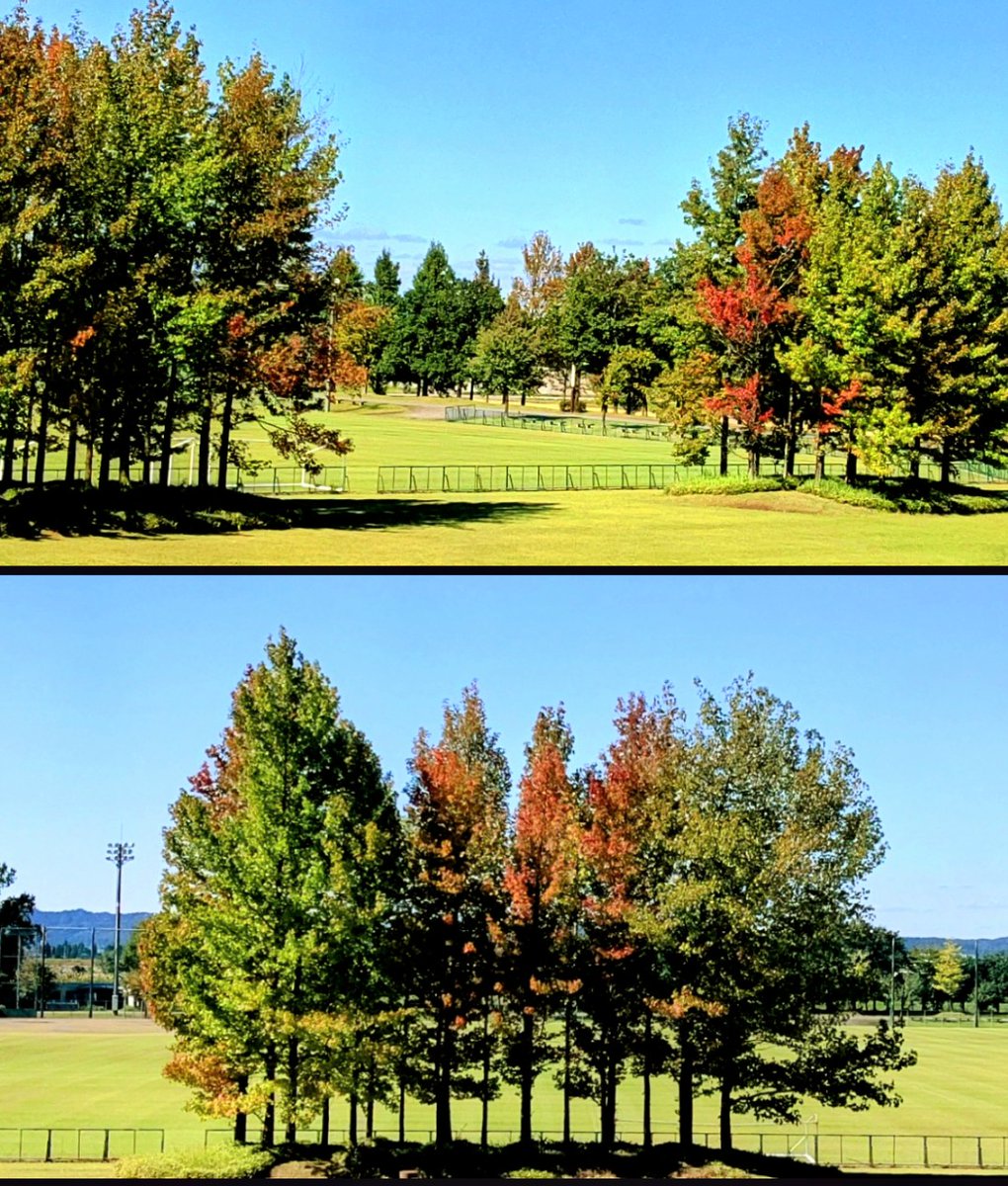 こんばんは😃🌃
今年は紅葉が遅い？🤔
彩りの秋が短かそう😭

ブルージェイズ⚾️強かった👀‼️

週末の夜を楽しんで下さいね🌃✨