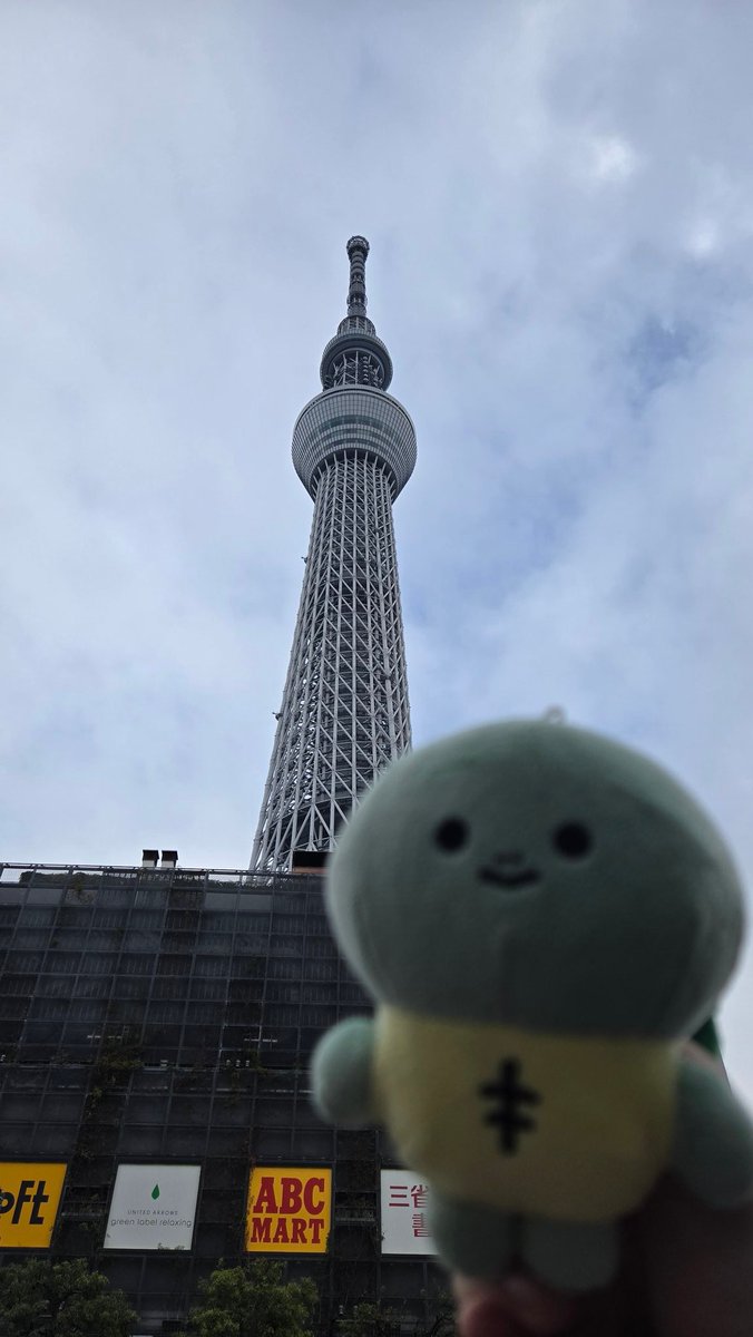 アメチカンのもな@福岡の猫 (@Mh0MLiErcV8E97C) / Posts / X