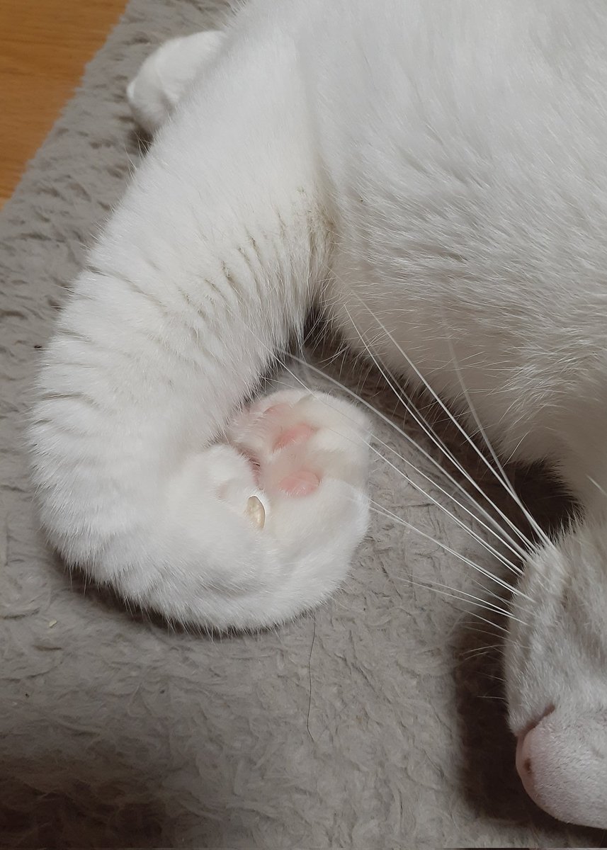 はるるんページ はるるん (@RNPrJ9xfX3PSoaA) / Posts / X