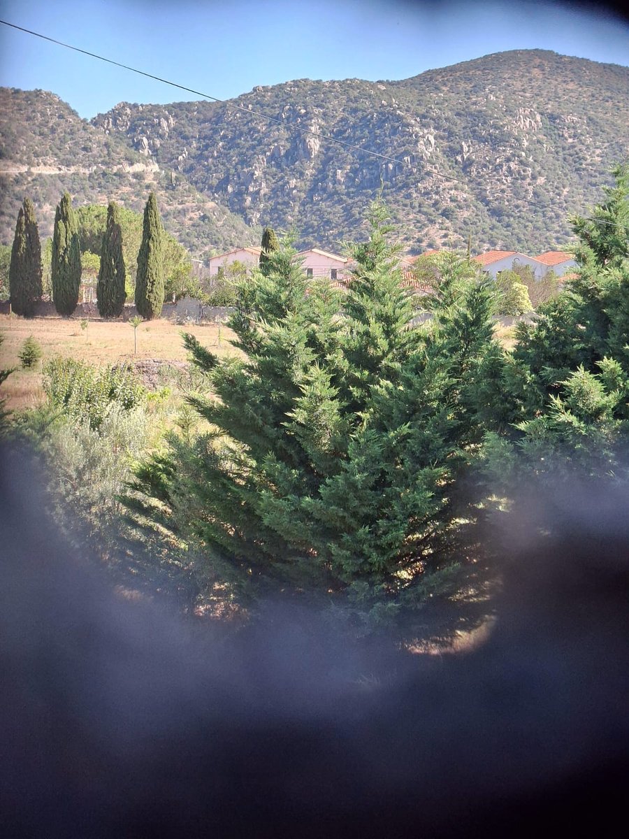 pablogt's tweet photo. New life in the south of France https://t.co/2YRmYmaVa7