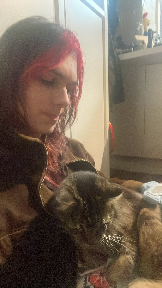 BluePixel94's tweet image. Petting my wife’s Chud cat with a stupid brush glove