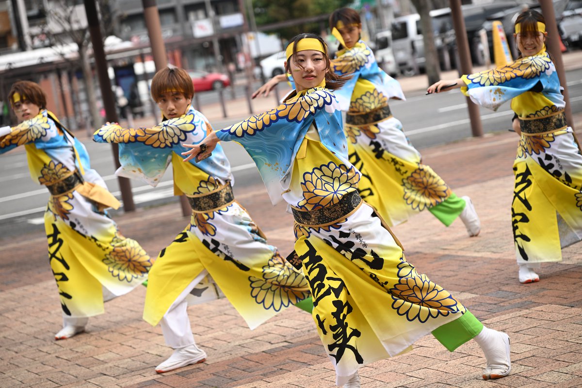 20251019     YOSAKOIさせぼ祭り
佐世保駅前会場         
志學館大学YOSAKOI踊り連我流樂  さん   初見