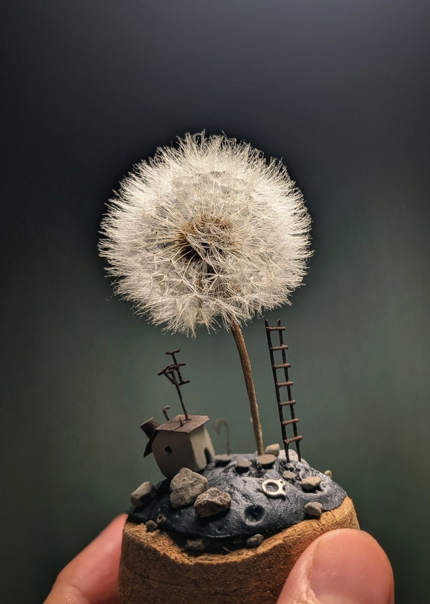 #デザフェス62西館紹介スペース
出展名∶樹のかけら
ブース∶ 西館4階 K-119.118 暗いエリア
(<a href="/ka_nau821/">AMBER / kanau@デザフェス62</a> さんとの合同ブース)
出展日∶11/15(土) 11/16(日)両日

小さな世界を創作しています。