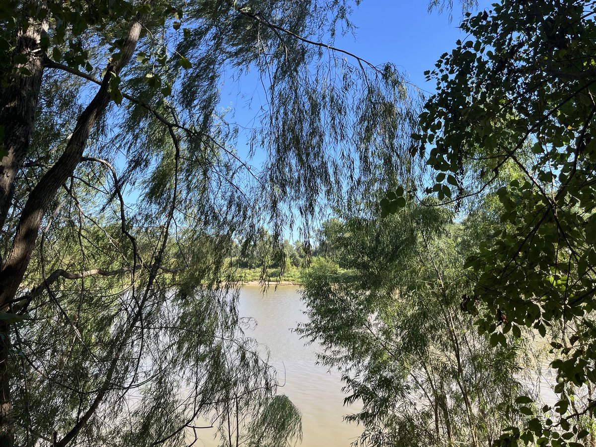 Sliver of a view of the Brazos River on the Barred Owl Trail at Stephen Austin State Park … I don’t get there often enough… maybe in a week or so…
