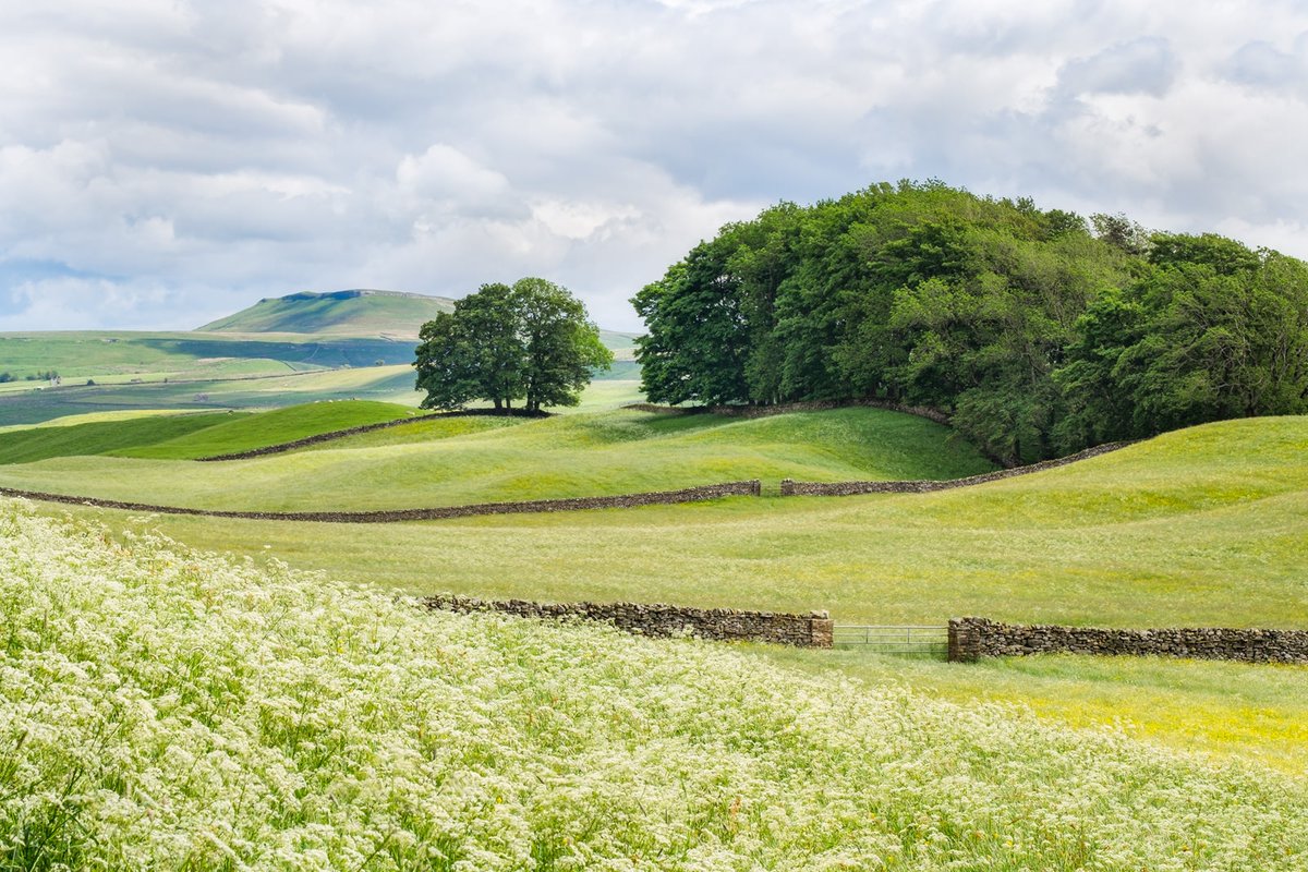 OSM_Photography's tweet image. It&apos;s the final week of the yorkshiredalesphotographyshow.co.uk. There&apos;s still lots of wonderful work to see. Visit us at the Old School Art Gallery in Muker.